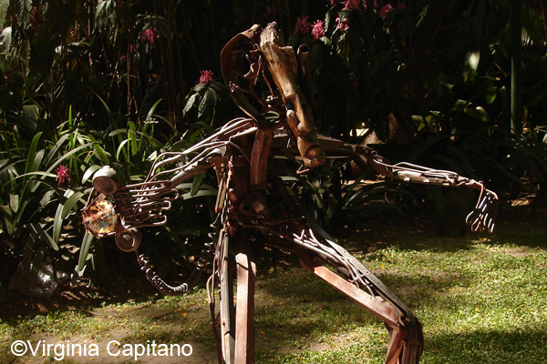 El Botánico, desde afuera