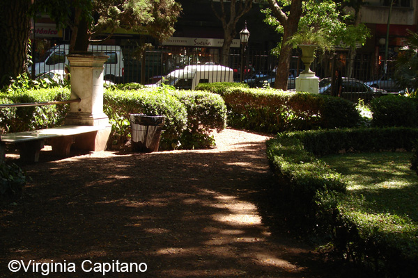 The Botanical Garden, from the outside