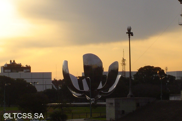 Floralis Generalis or Generic Flower