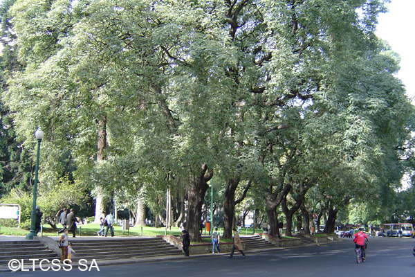 Plaza San Martín