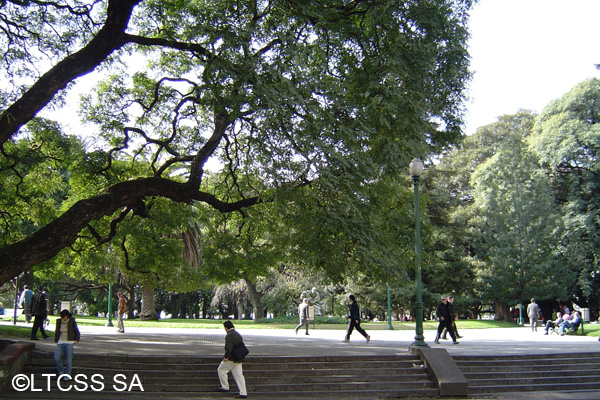 Plaza San Martín