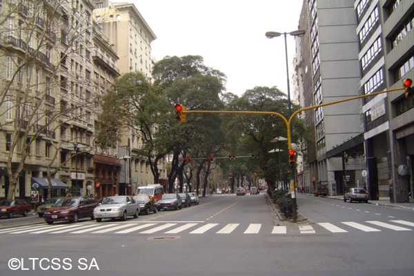 View of the avenue