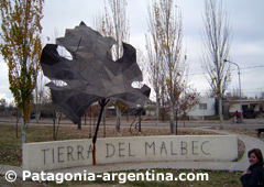 Mendoza, Tierra del Malbec.