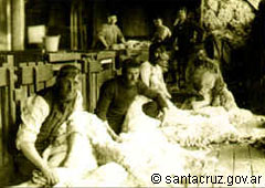 Foto de época que ilustra el trabajo de esquila en las estancias de Santa Cruz