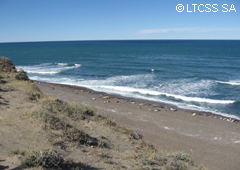 The coast of Punta Norte is one of the places whre the Orcas come for hunting