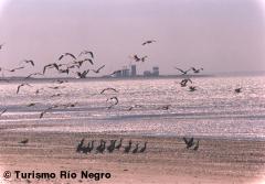 Playa San Antonio Oeste