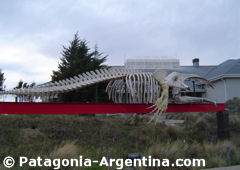 Esqueleto de ballena a la entrada del Ecocentro