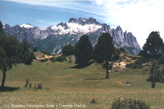 Parque Nacional Lanín