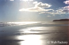 La costa de Río Negro: Pozo Salado, PATAGONIA ARGENTINA