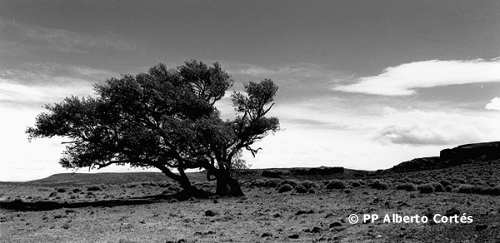 Meseta de Somuncurá