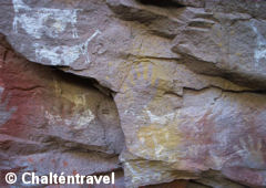 Pinturas de Guanacos y manos en la cueva