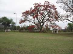 Landscape at the beginning of the rainforest