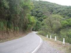 The route to the forest, Yungas.