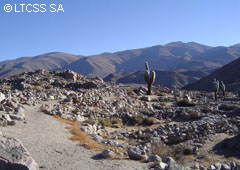 Ruins of Tastil - Salta