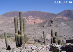 La Quebrada de Humahuaca constituía uno de los grandes caminos del inca.