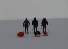 Travesía por el Hielo Patagónico Sur