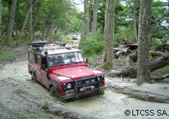 Pura aventura 4x4 por bosques y lagos