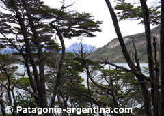 Tierra del Fuego National Park