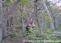 Trekking in Tierra del Fuego N.P. paths