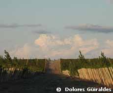 Los alrededores de la Bodega Valle Perdido