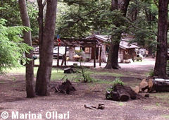 Territorio mapuche