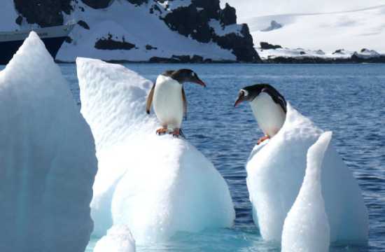 Antrtida: Expedicin a los hielos del  fin del mundo