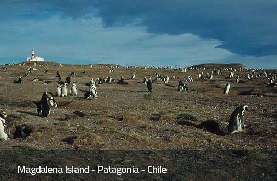 Crucero Australis: Ushuaia - Punta Arenas