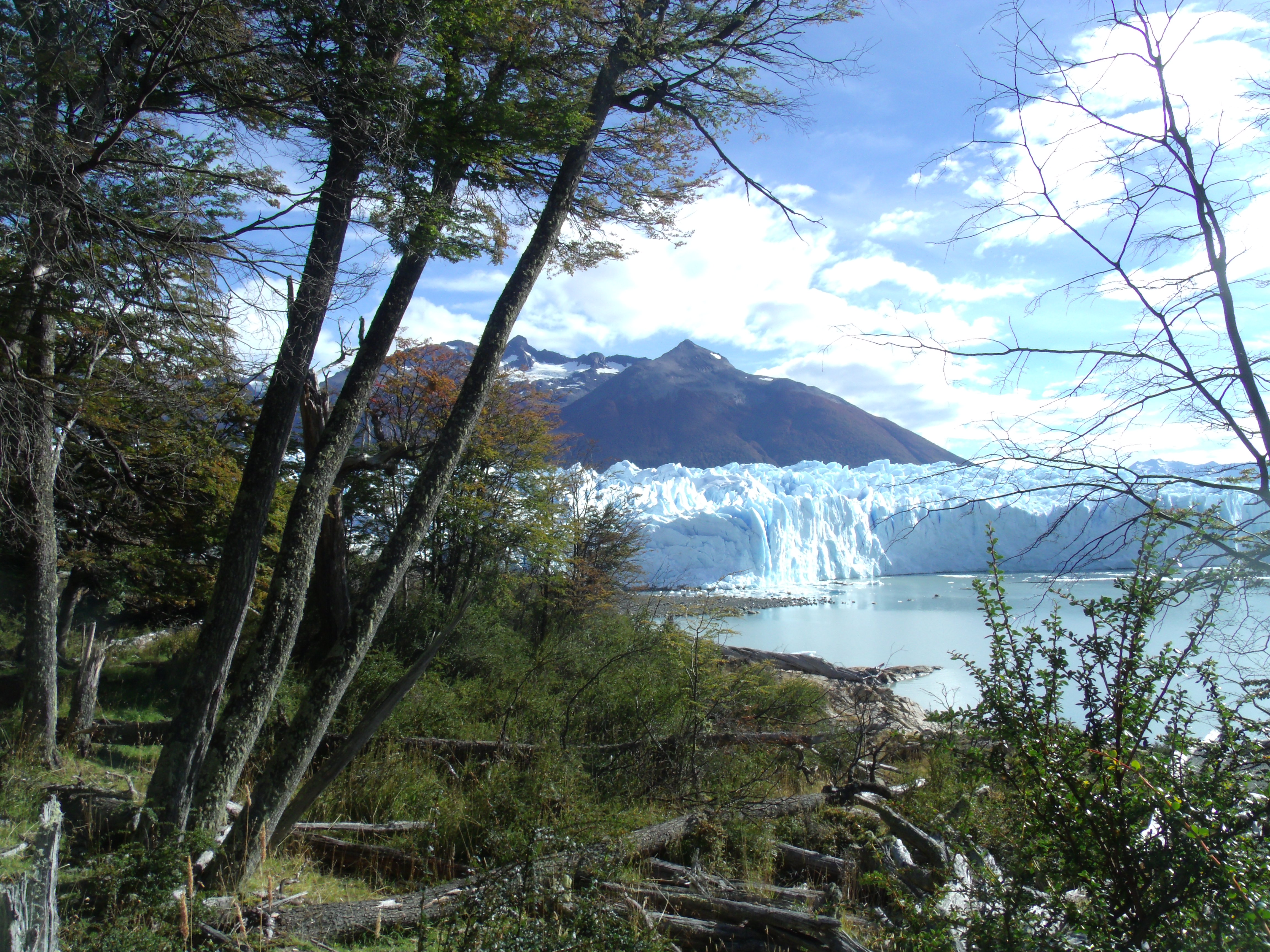 Glaciar Perito Moreno desde el Sendero del Perito Moreno Glacier from the forest path - National Park Los Glaciares