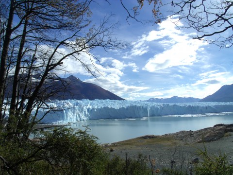 View of the south wall of the glacier Perito Moreno from the forest path