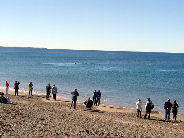 El Doradillo - Puerto Madryn - Argentina