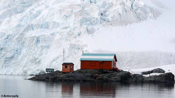 Cruise to Antarctica