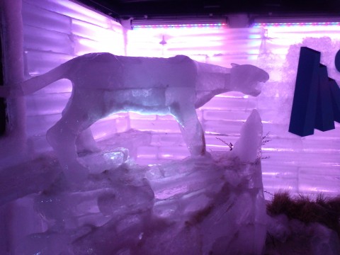 Escultura de hielo dentro del Glaciobar - Glaciarium - El Calafate