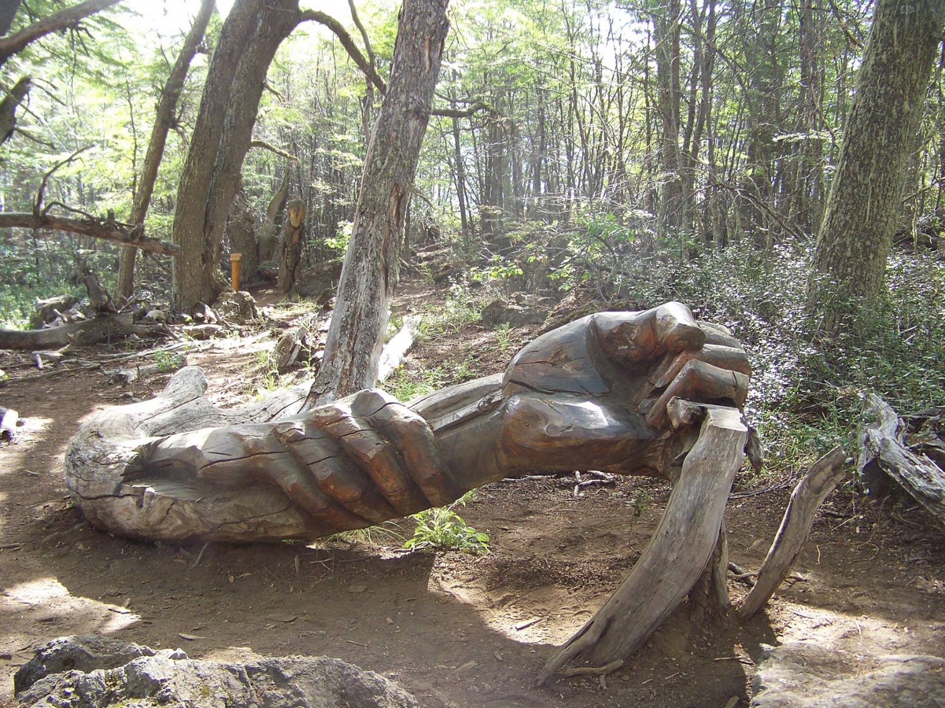 Una visita al Bosque Tallado El Bolsón