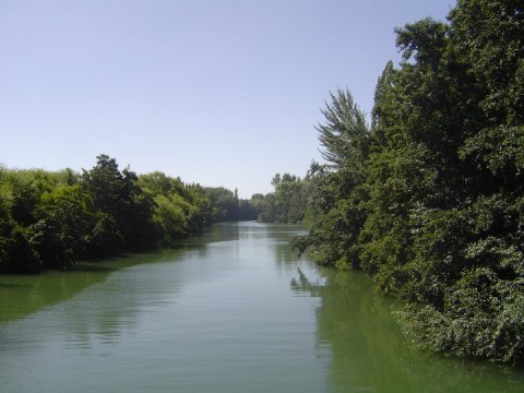 Islas en el Río Negro