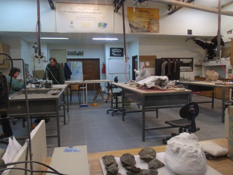 The fossils laboratory of MEF - Trelew