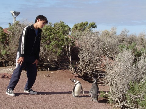 Imitando a los pingüinos - Punta Tombo - Patagonia Argentina