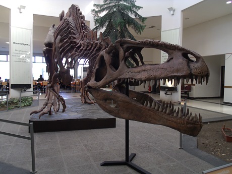 Dinos en el hall de acceso al MEF - Trelew - Patagonia Argentina