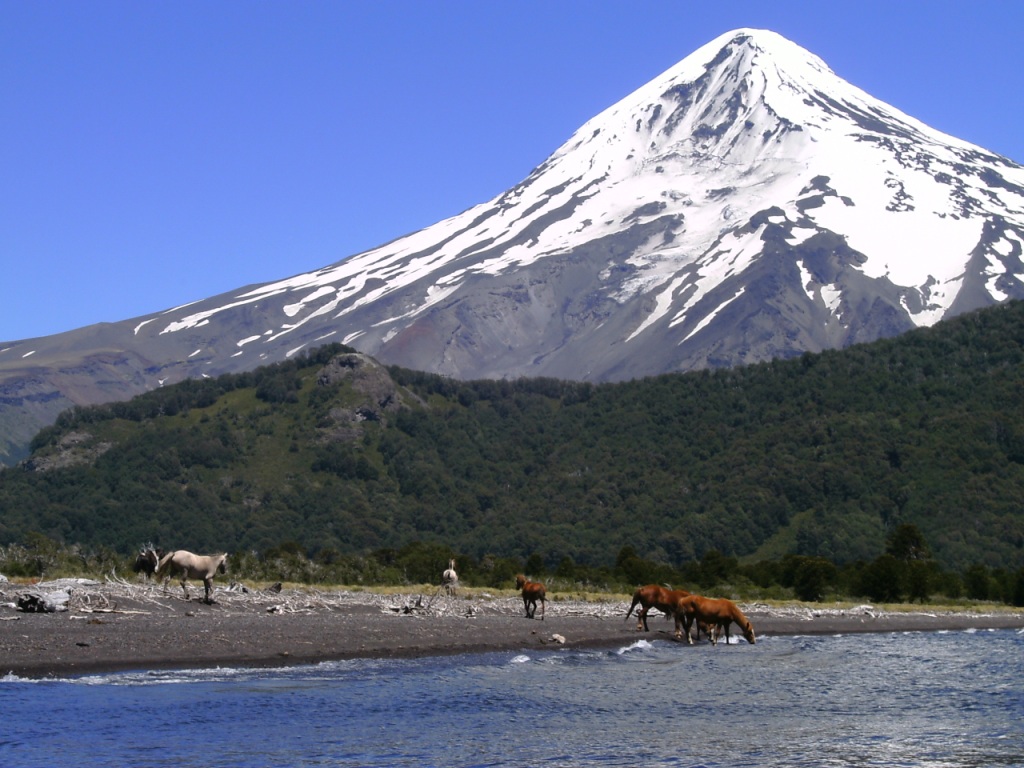 Volcán Tromen - Rulfan - Andeshandbook