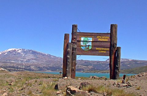 Parque Provincial Copahue - Patagonia Argentina