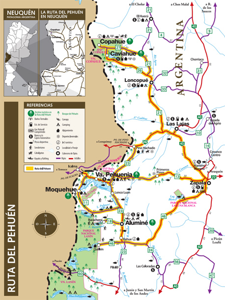 Ruta del pehuen - Foto: neuquentur.gob.ar