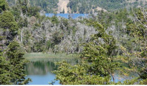 Lagunas Las Mellizas - Foto: villatraful.gov.ar