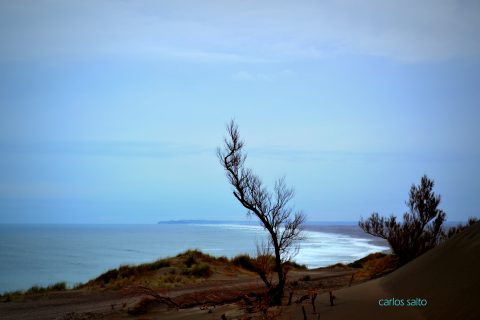 Bahia Creek - Patagonia