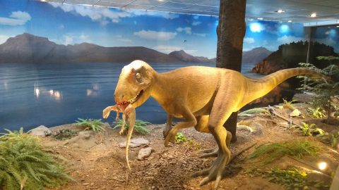 Los dinosaurios invaden el aeropuerto de Trelew!