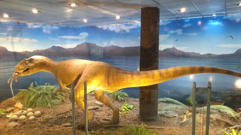 Los dinosaurios invaden el aeropuerto de Trelew!