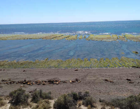 Península de Valdés
