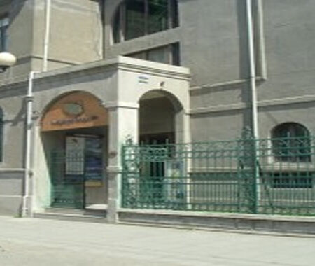 Punta Arenas City tour