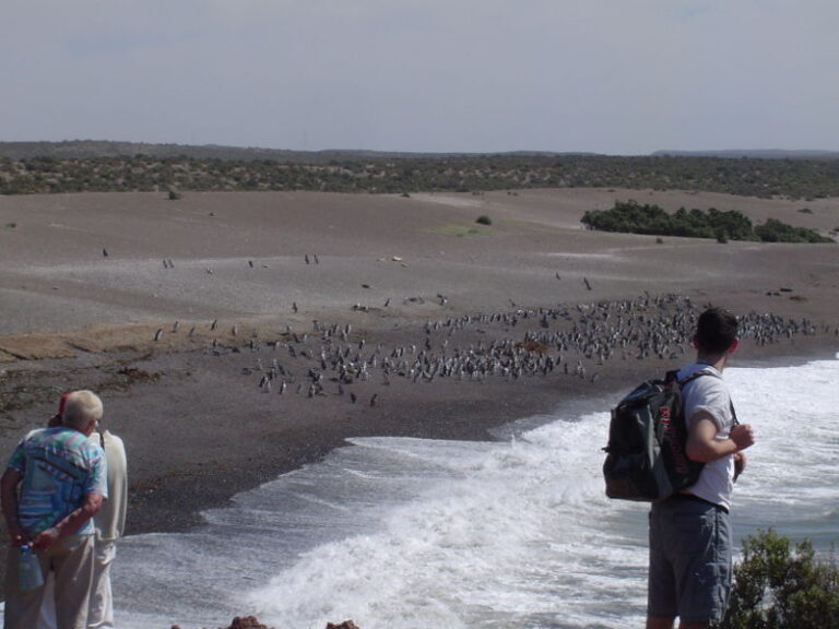 Punta Tombo