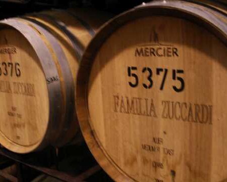 Flavours from Mendoza
