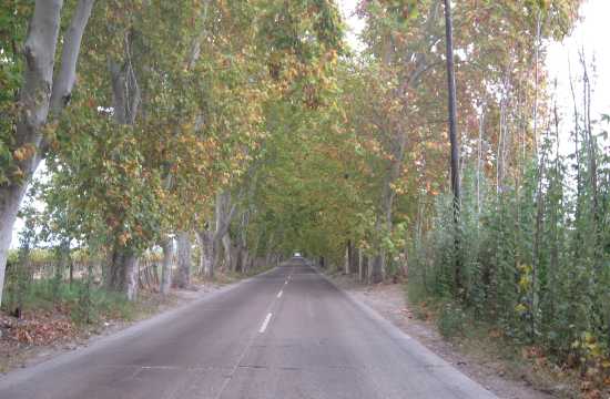 Caminos del vino