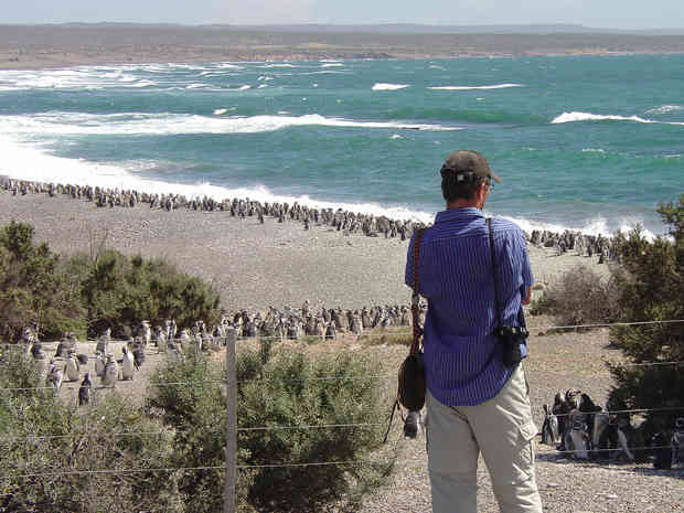 Punta Tombo